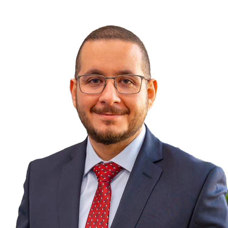 Abdelmoaty Ali